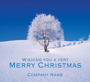 1656 - Frosty Tree Branded Christmas Card