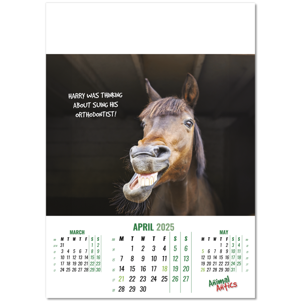 Animal Antics Wall Calendar