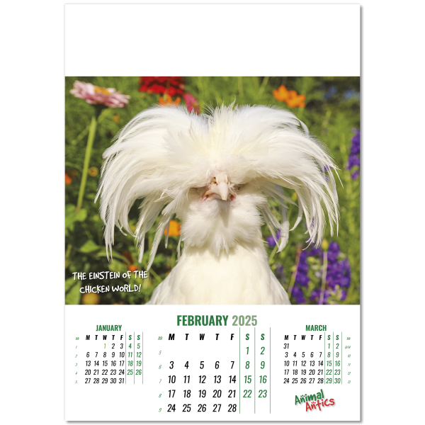 Animal Antics Wall Calendar