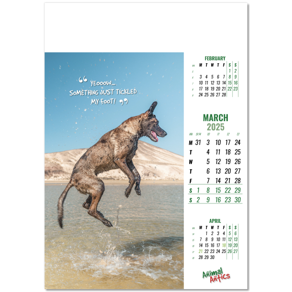 Animal Antics Wall Calendar