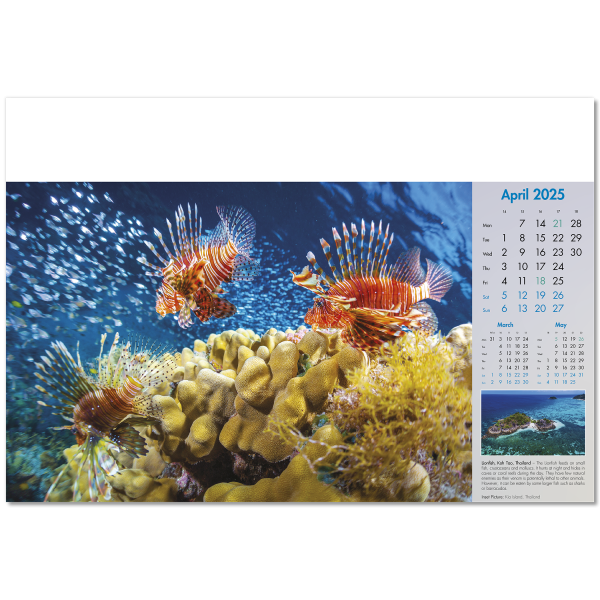 Blue Planet Wall Calendar