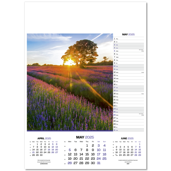 Dawn & Dusk Wall Calendar