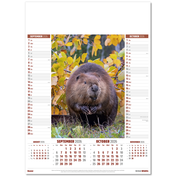 British Wildlife Wall Calendar