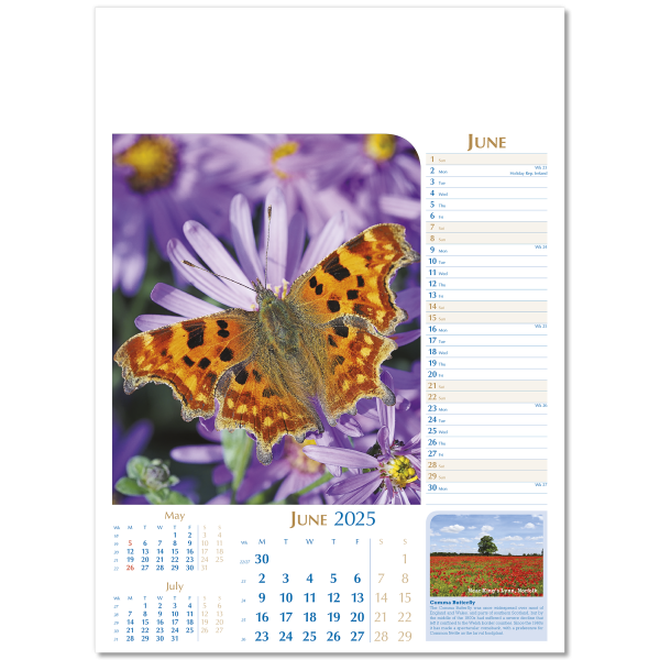 Notable Wildlife Wall Calendar