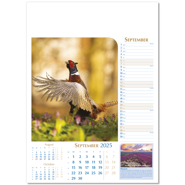 Notable Wildlife Wall Calendar