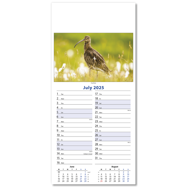 Wildlife Slim Wall Calendar