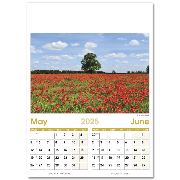 Aspects Wall Calendar - 7 Leaf