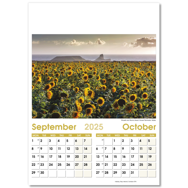 Aspects Wall Calendar - 7 Leaf