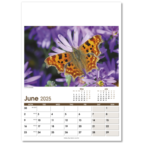 Rural Life Wall Calendar - 13 Leaf