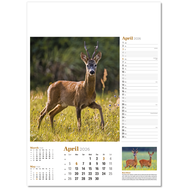 Wildlife in Britain Wall Calendar