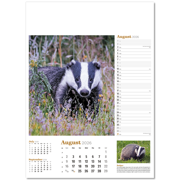 Wildlife in Britain Wall Calendar