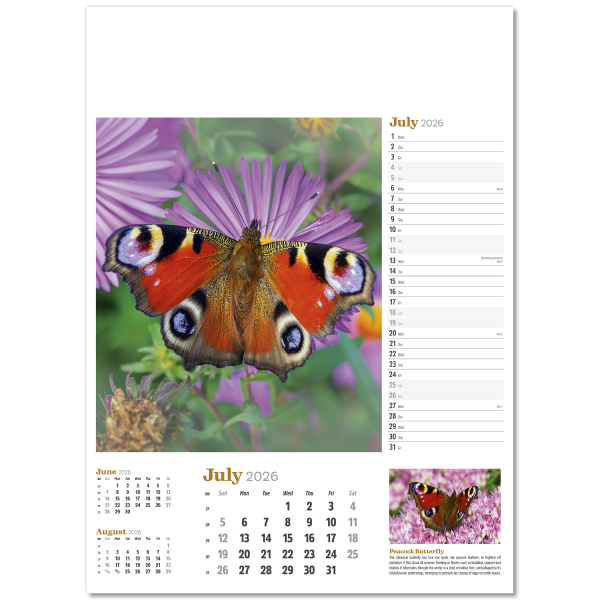 Wildlife in Britain Wall Calendar