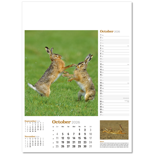 Wildlife in Britain Wall Calendar