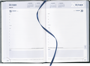 A5 Diary Inside Pages - White Daily